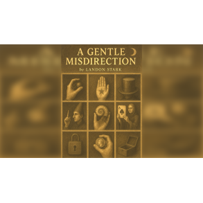 A Gentle Misdirection by Landon Stark eBook DOWNLOAD