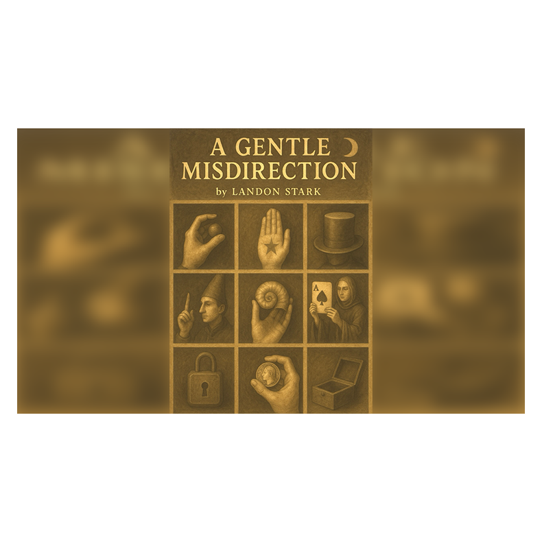 A Gentle Misdirection by Landon Stark eBook DOWNLOAD