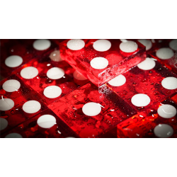 Michael Breggar's Flat Dice by TCC Magic