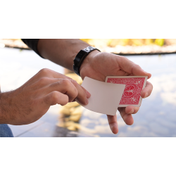 Kid Canvas by Adrian Vega