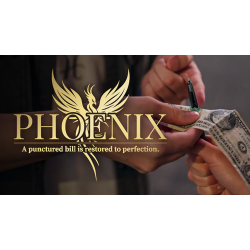 Phoenix by Hanson Chien