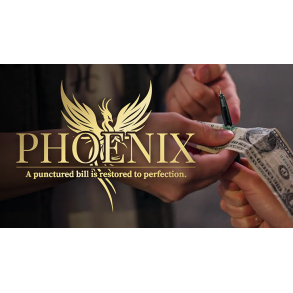 Phoenix by Hanson Chien