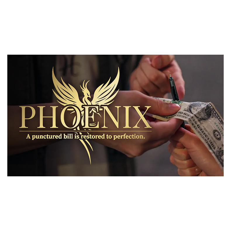 Phoenix by Hanson Chien