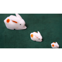 The Bunnies! 3D Rabbits (Parents, Kids &amp; Grandpa)