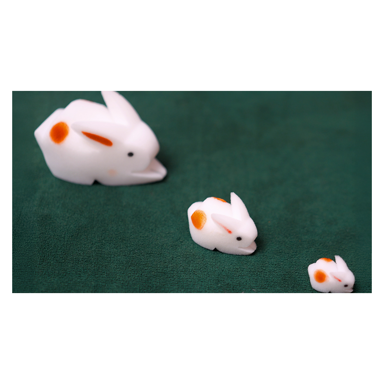 The Bunnies! 3D Rabbits (Parents, Kids &amp; Grandpa)