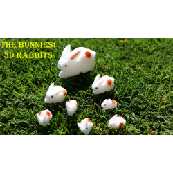 The Bunnies! 3D Rabbits (Parents, Kids &amp; Grandpa)