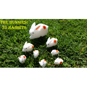 The Bunnies! 3D Rabbits (Parents, Kids & Grandpa)
