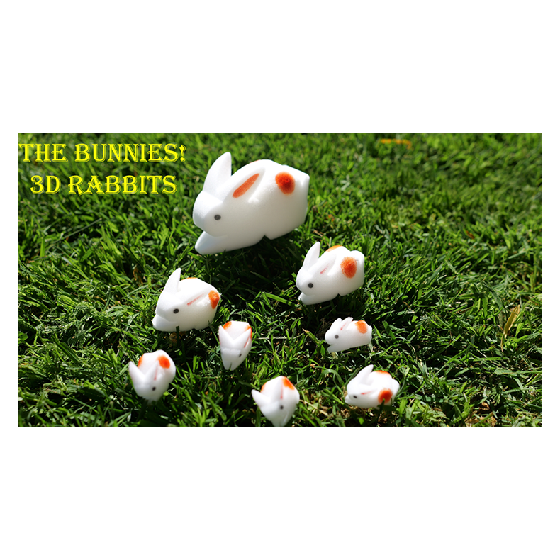 The Bunnies! 3D Rabbits (Parents, Kids &amp; Grandpa)