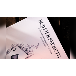 Subtle Secrets 1 by Thibault Ternon