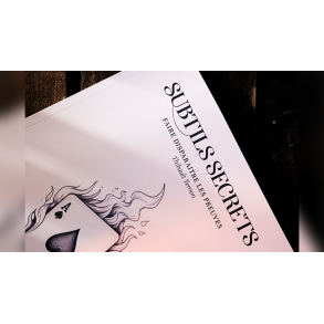 Subtle Secrets 1 by Thibault Ternon