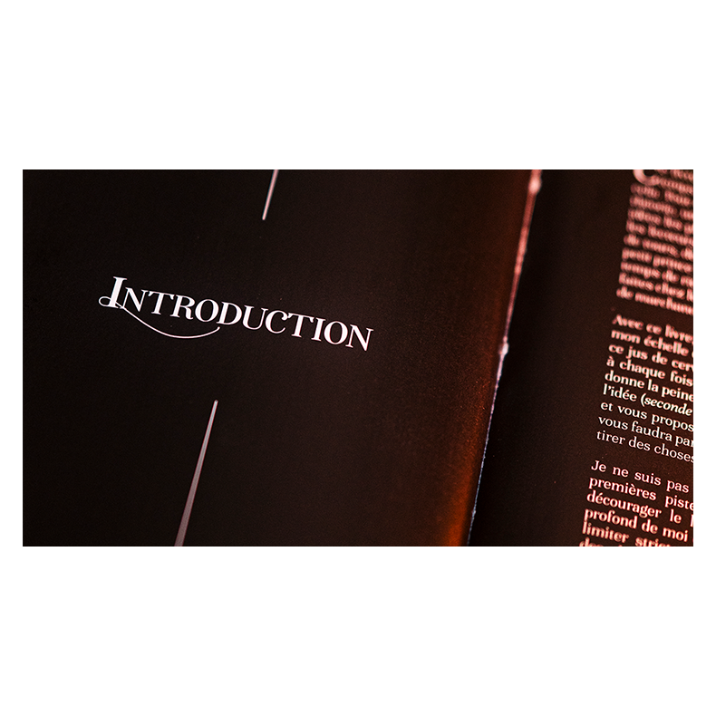 Subtle Secrets 1 by Thibault Ternon