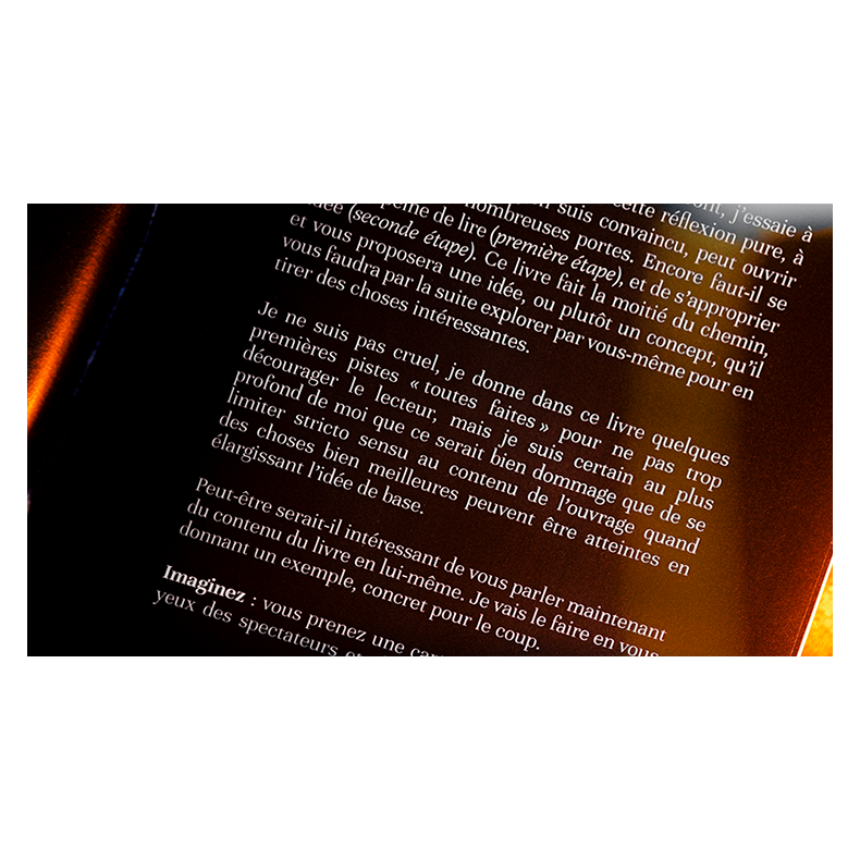 Subtle Secrets 1 by Thibault Ternon