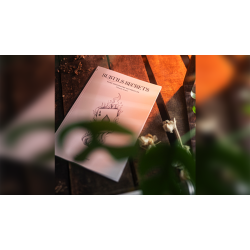 Subtle Secrets 1 by Thibault Ternon