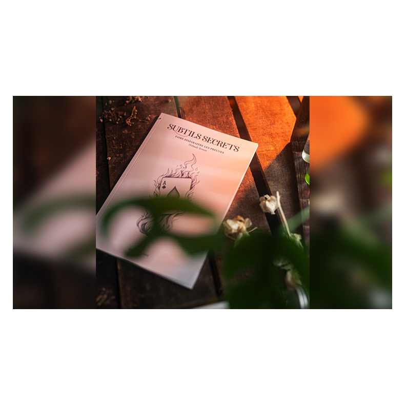 Subtle Secrets 1 by Thibault Ternon