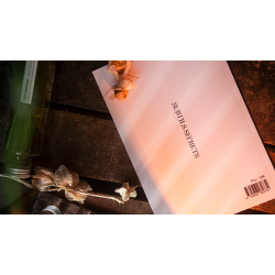 Subtle Secrets 1 by Thibault Ternon