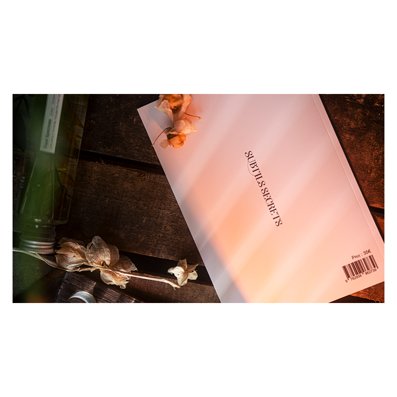 Subtle Secrets 1 by Thibault Ternon