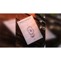 Subtle Secrets 1 by Thibault Ternon