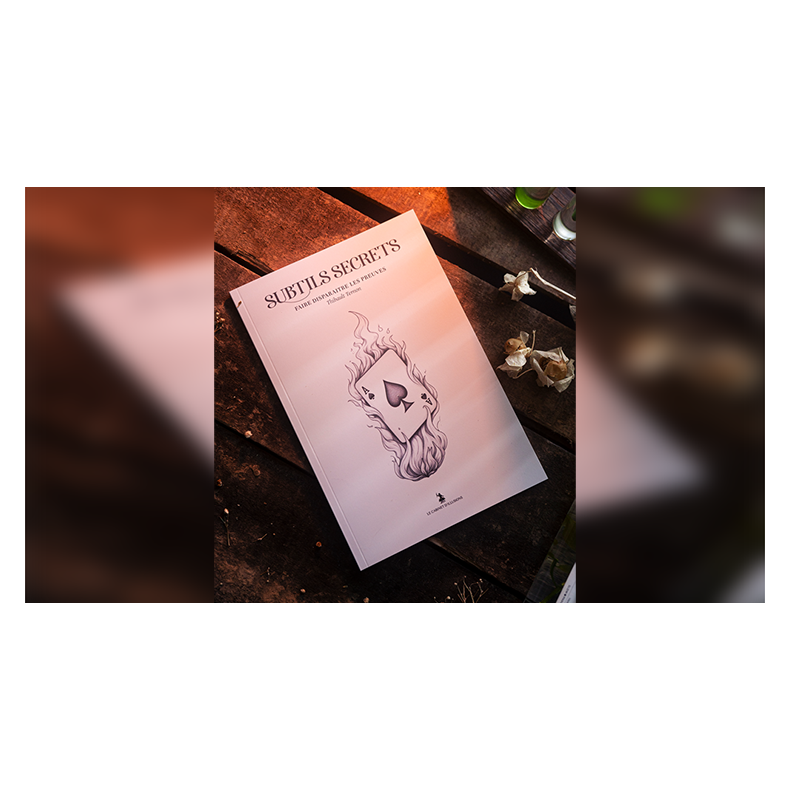 Subtle Secrets 1 by Thibault Ternon