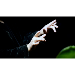 Double Production by Bojan Barisic and Stage Elegance 