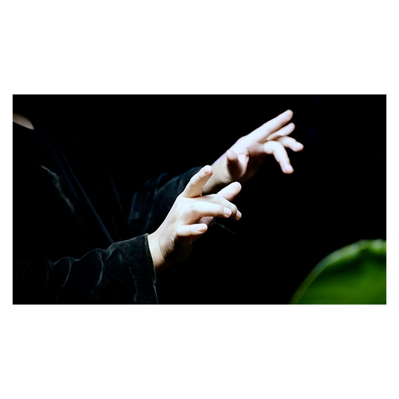 Double Production by Bojan Barisic and Stage Elegance 