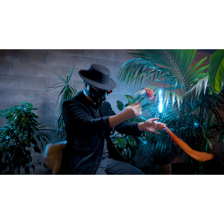 Double Production by Bojan Barisic and Stage Elegance 