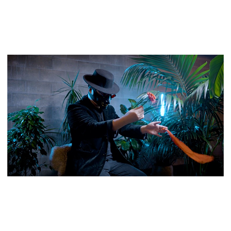 Double Production by Bojan Barisic and Stage Elegance 