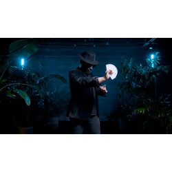 Double Production by Bojan Barisic and Stage Elegance 