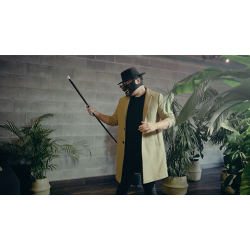 Vanishing Cane (Stage) by Bojan Barisic and Stage Elegance