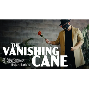 Vanishing Cane (Stage) by Bojan Barisic and Stage Elegance