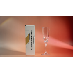 Perfect Champagne Glass by Henry Harrius