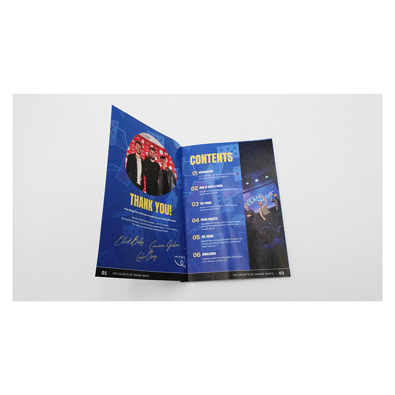 The Secrets of Insane Magic by Elliot Bibby, Luke Osey, and Cameron Gibson