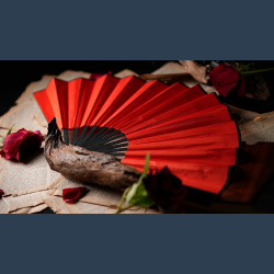 The Butterfly by K.Pen &amp; TCC Magic