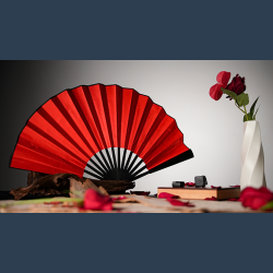 The Butterfly by K.Pen &amp; TCC Magic