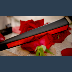 The Butterfly by K.Pen &amp; TCC Magic