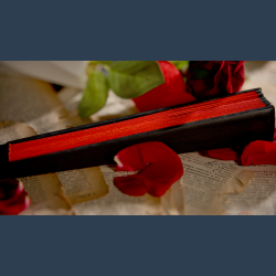 The Butterfly by K.Pen &amp; TCC Magic