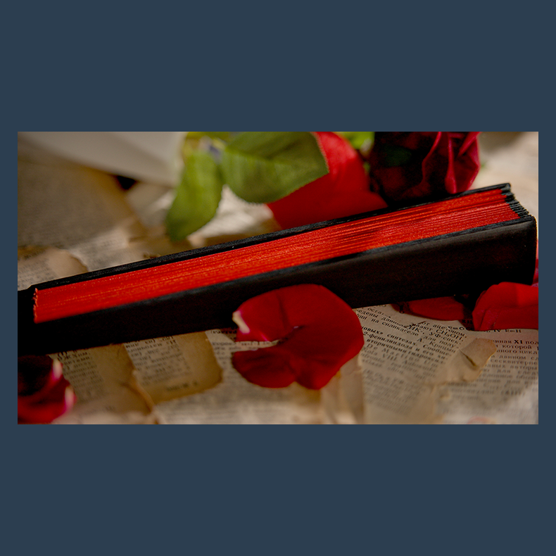 The Butterfly by K.Pen &amp; TCC Magic