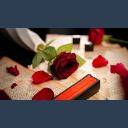 The Butterfly by K.Pen &amp; TCC Magic