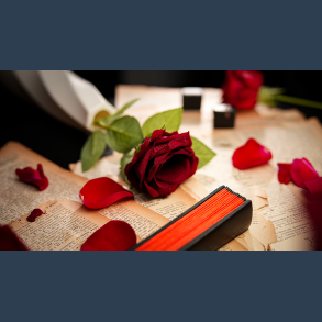 The Butterfly by K.Pen & TCC Magic