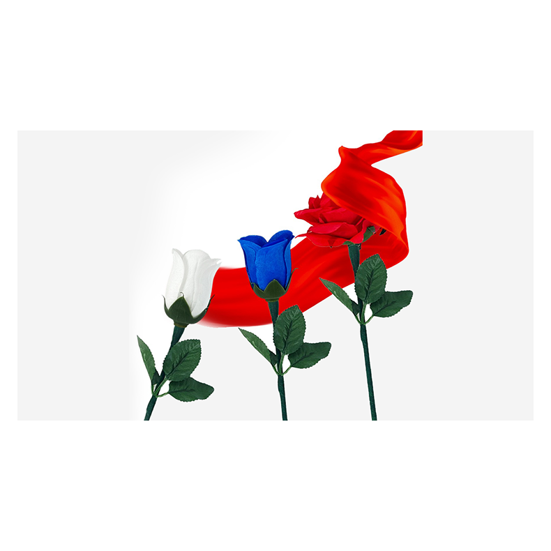 Reborn Rose by JL Magic