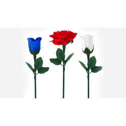 Reborn Rose by JL Magic