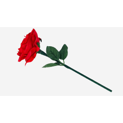 Reborn Rose by JL Magic