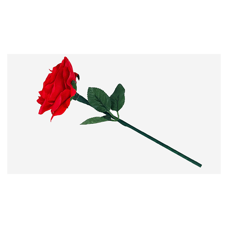 Reborn Rose by JL Magic