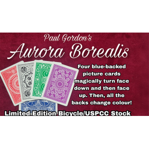 Aurora Borealis by Paul Gordon