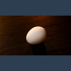 The Egg by Murphy's Magic