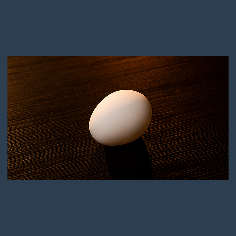 The Egg by Murphy's Magic