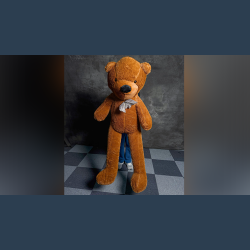 TEDDY BEAR APPEARANCE - Stor