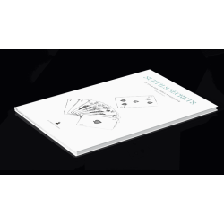 Subtle Secrets 2 by Thibault Ternon