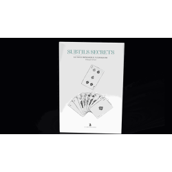 Subtle Secrets 2 by Thibault Ternon