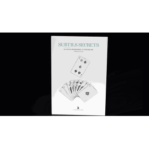 Subtle Secrets 2 by Thibault Ternon