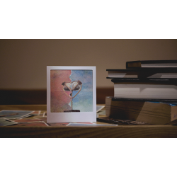 MEMORY by Balala Zheng &amp; Billy Yeung.